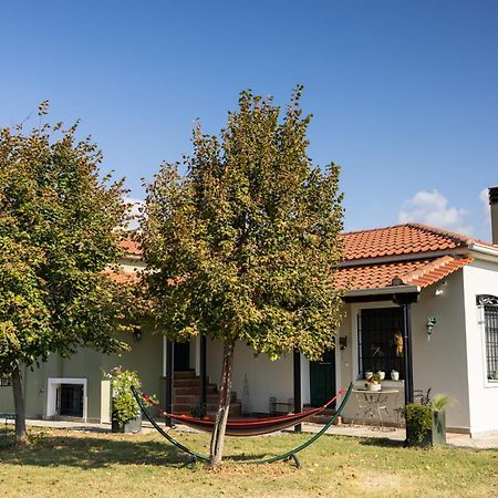 The Hobbit Hole Villa Tríkala Exterior foto